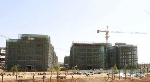 太湖经开区2019年第一批招商引资项目集中开工，总投资20.38亿元助力产业升级