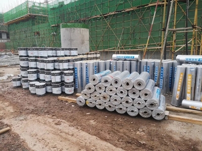 机场口岸新防线 科顺助力打造国际健康服务中心，构筑平安国门